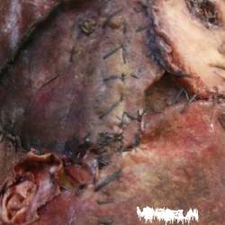 Vomitorium (USA) : Demo